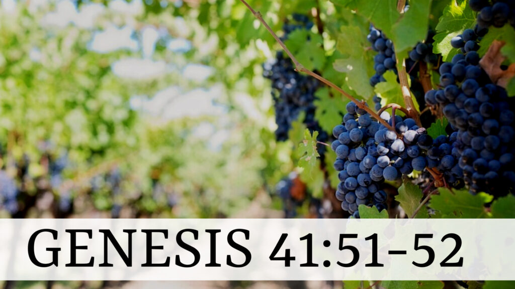 Genesis 41:51-52
