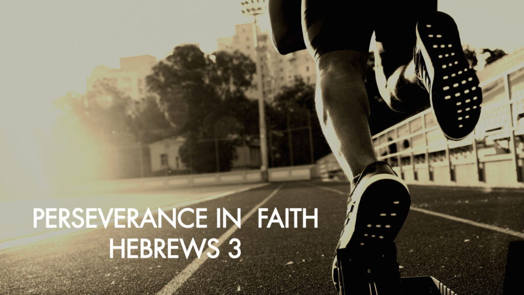 Perseverance In Faith