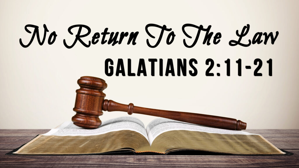 No Return To The Law