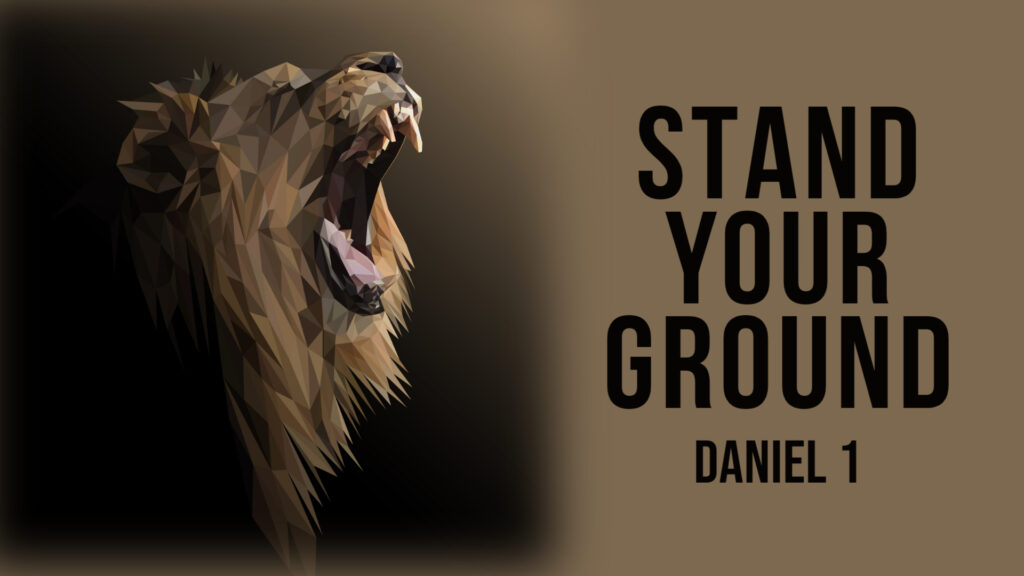 Stand Your Ground